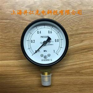NKS长野压力表AA10-171 1MPa